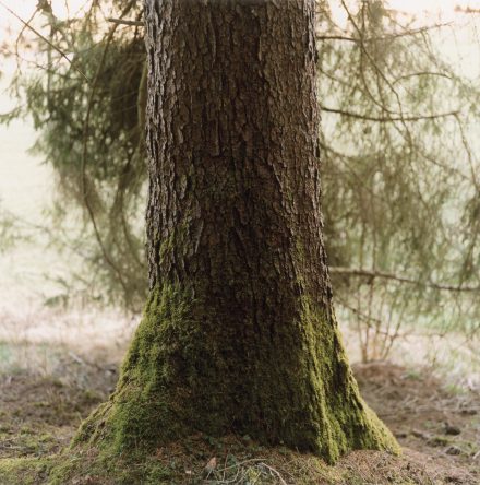 Bernhard Fuchs | MÜHL