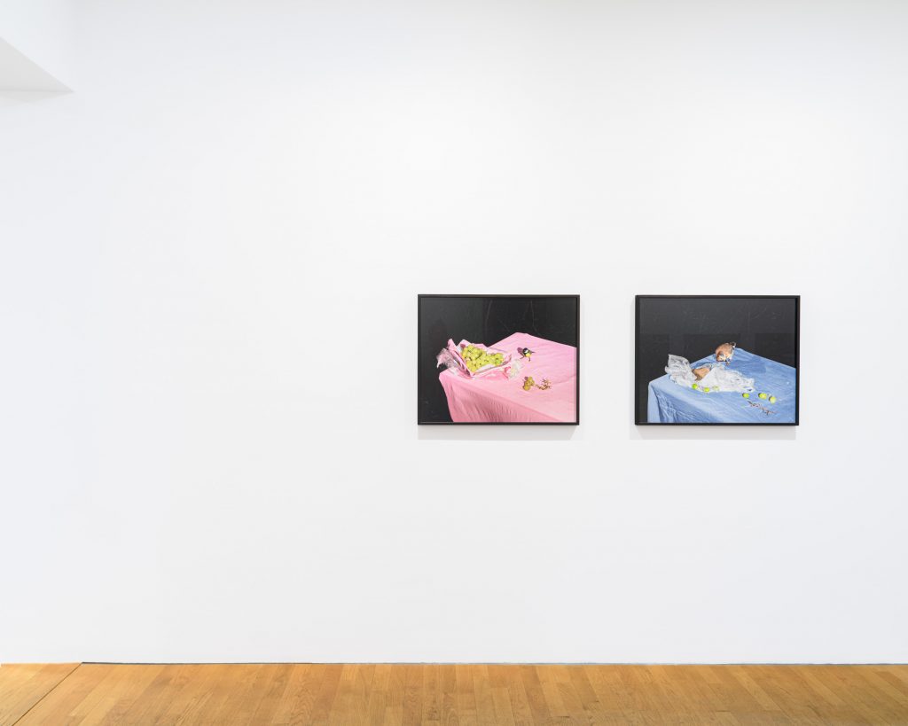 'Plates I-XXXI' at ROBERT MORAT GALERIE, Berlin, 2024