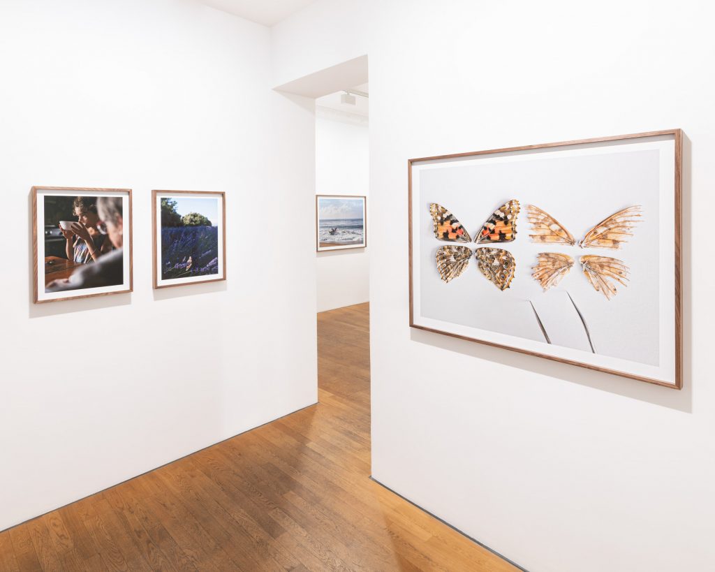 Constant Bloom at Robert Morat Galerie, Berlin 2025