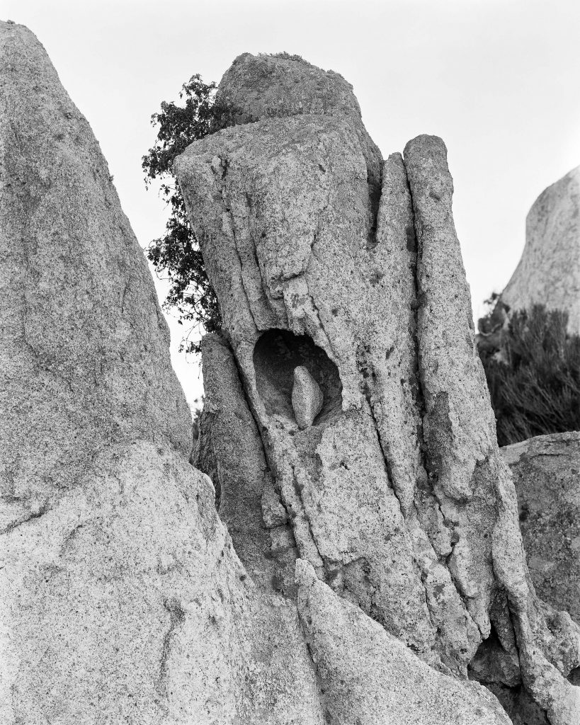 WU II, 2022, Pigment print, 100 x 80 cm, Edition of 5 + 2AP