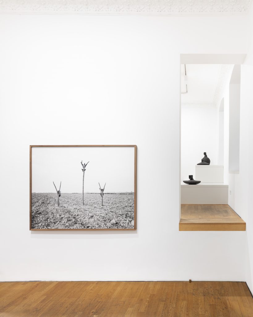 Between Fields and Spirits at Robert Morat Galerie, Berlin 2025