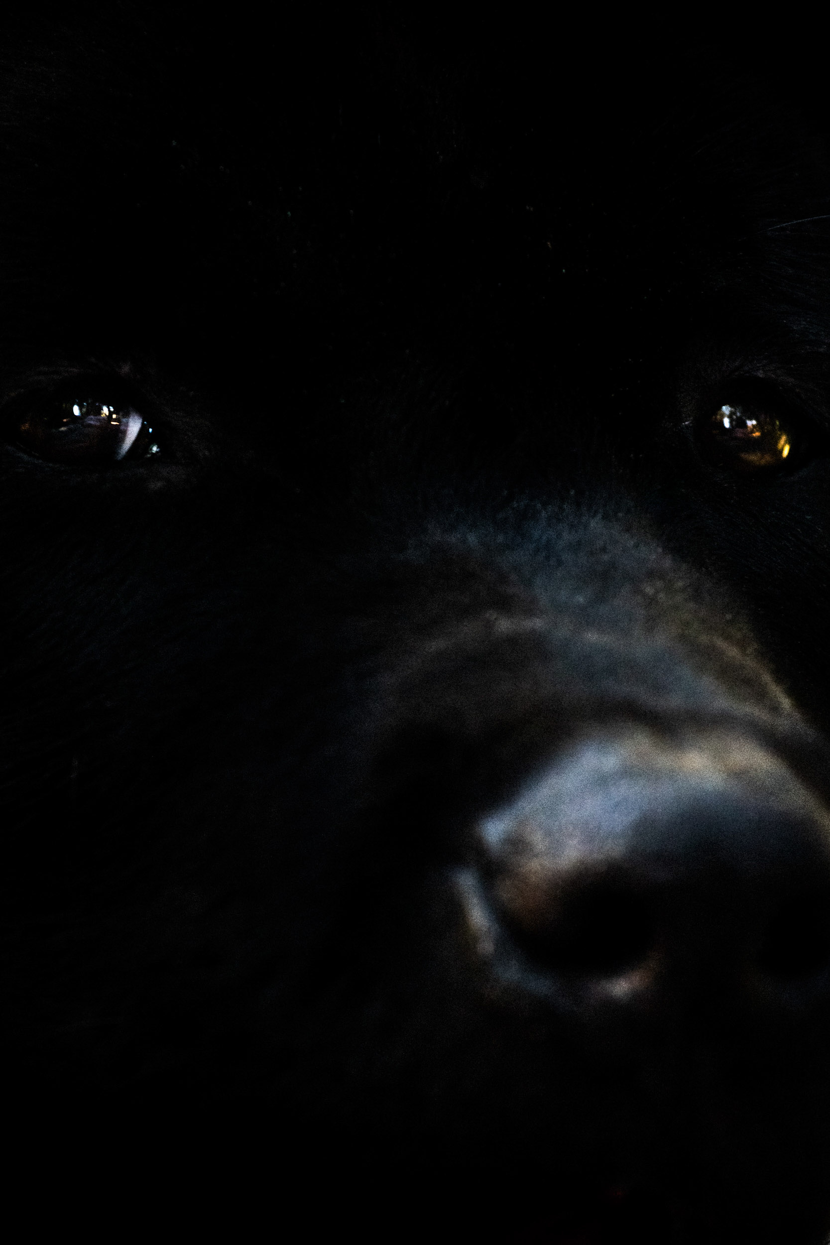 Jörg Brüggemann – Aguas que no has de beber No.11, 2022, Archival pigment print, 60 x 40 cm, Overall-Edition of 8 + 2AP