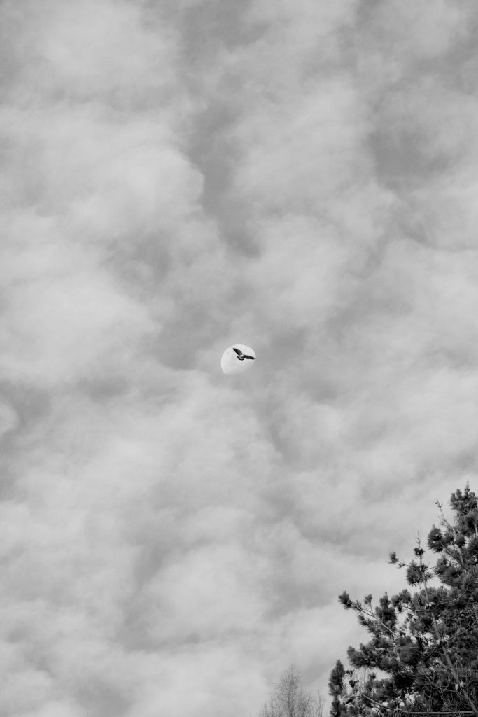 Aguas que no has de beber No.17, 2022, Archival pigment print, 60 x 40 cm, Overall-Edition of 8 + 2AP