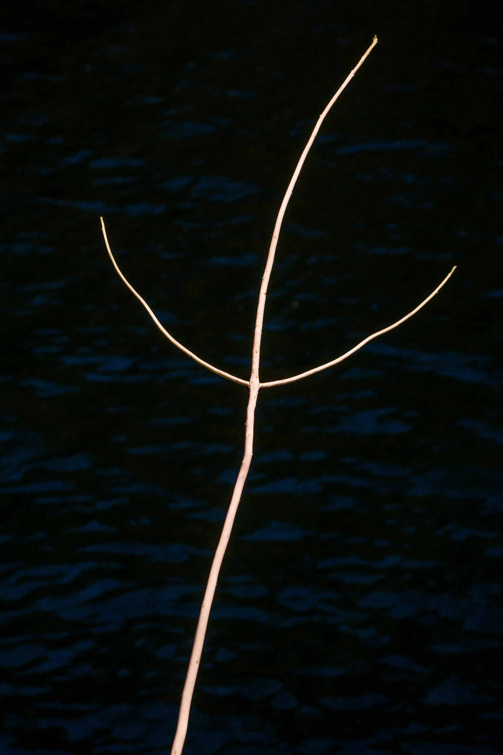 Jörg Brüggemann – Aguas que no has de beber No.8, 2022, Archival pigment print, 60 x 40 cm, Overall-Edition of 8 + 2AP