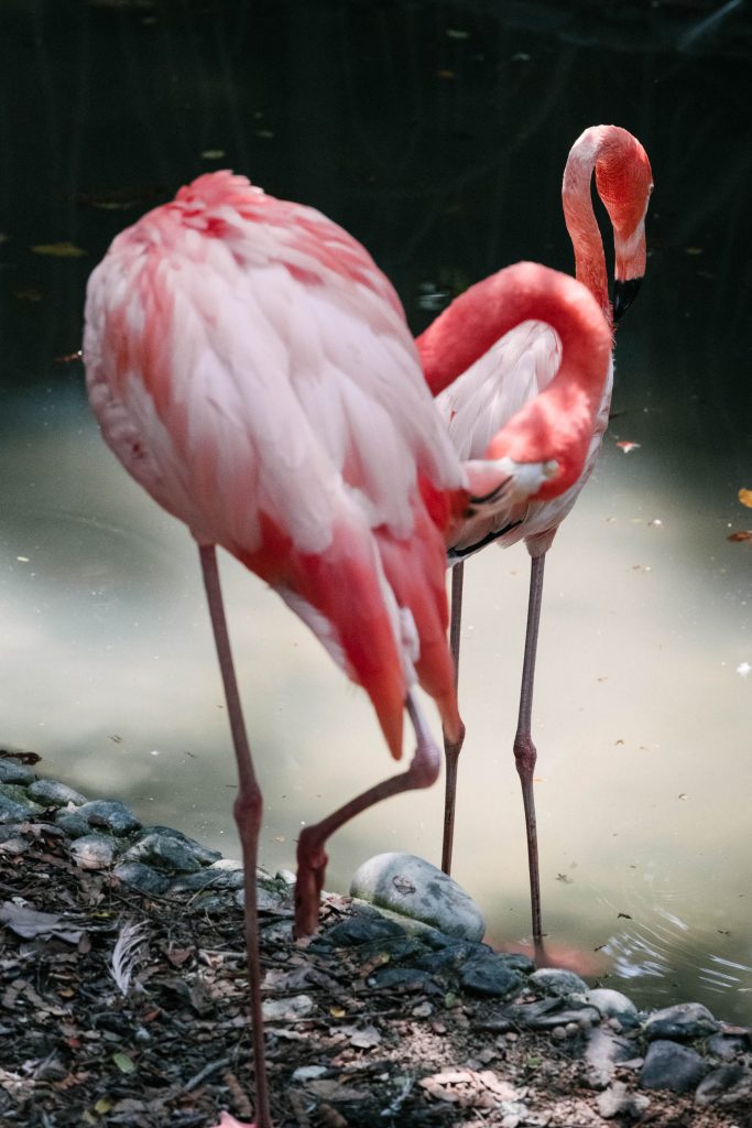 Mi madre tiene novio No.25, 2018, Archival pigment print, 60 x 40 cm, Overall-Edition of 8 + 2AP