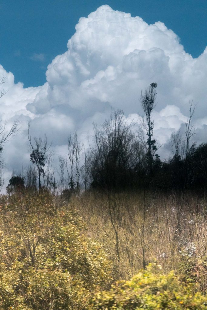 Mi madre tiene novio No.2, 2018, Archival pigment print, 60 x 40 cm, Overall-Edition of 8 + 2AP