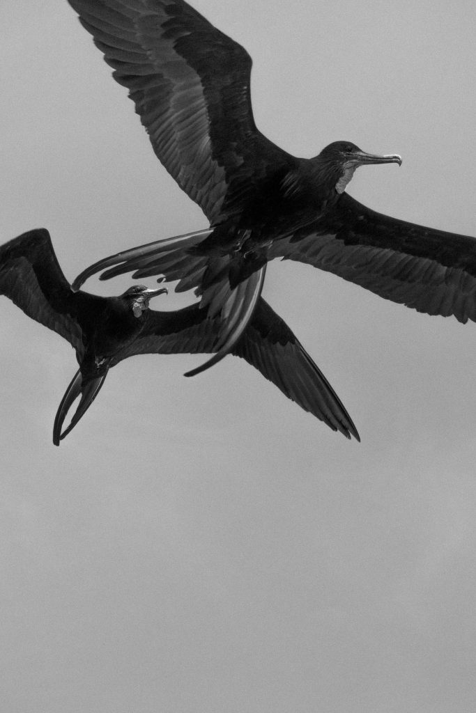 Mi madre tiene novio No.4, 2018, Archival pigment print, 60 x 40 cm, Overall-Edition of 8 + 2AP