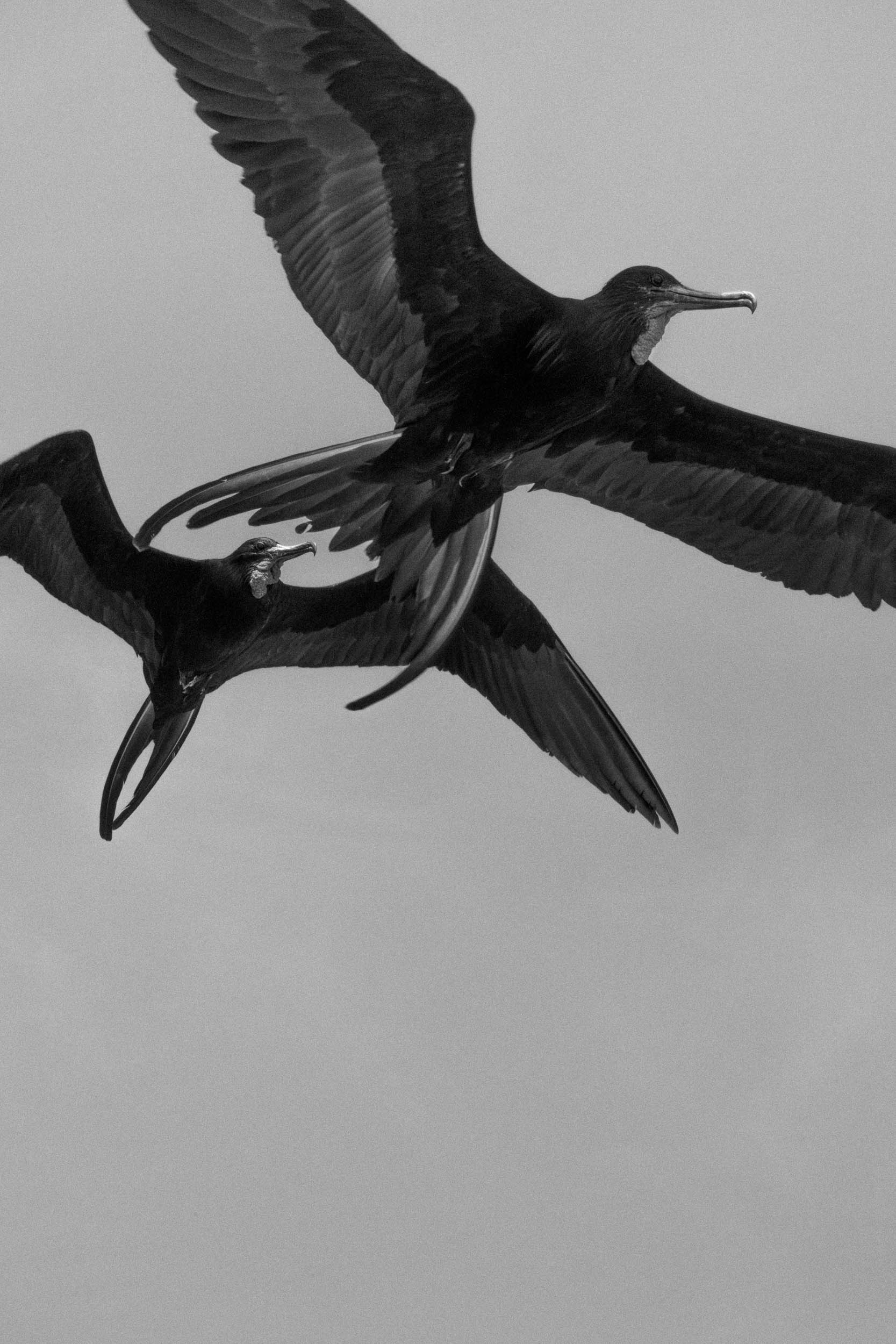 Jörg Brüggemann – Mi madre tiene novio No.4, 2018, Archival pigment print, 60 x 40 cm, Overall-Edition of 8 + 2AP