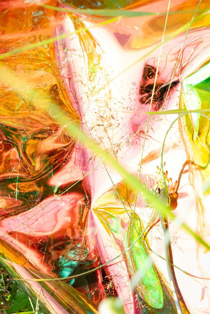 Die zarten Tiere der Psyche. Vorboten hier einer Musik / Tender Creatures of the Psyche. Heralds of a Music Yet to Come, 2025, Chromalux print (dye-sublimation print on aluminium), 138 x 92 cm, Edition of 3 + 1AP