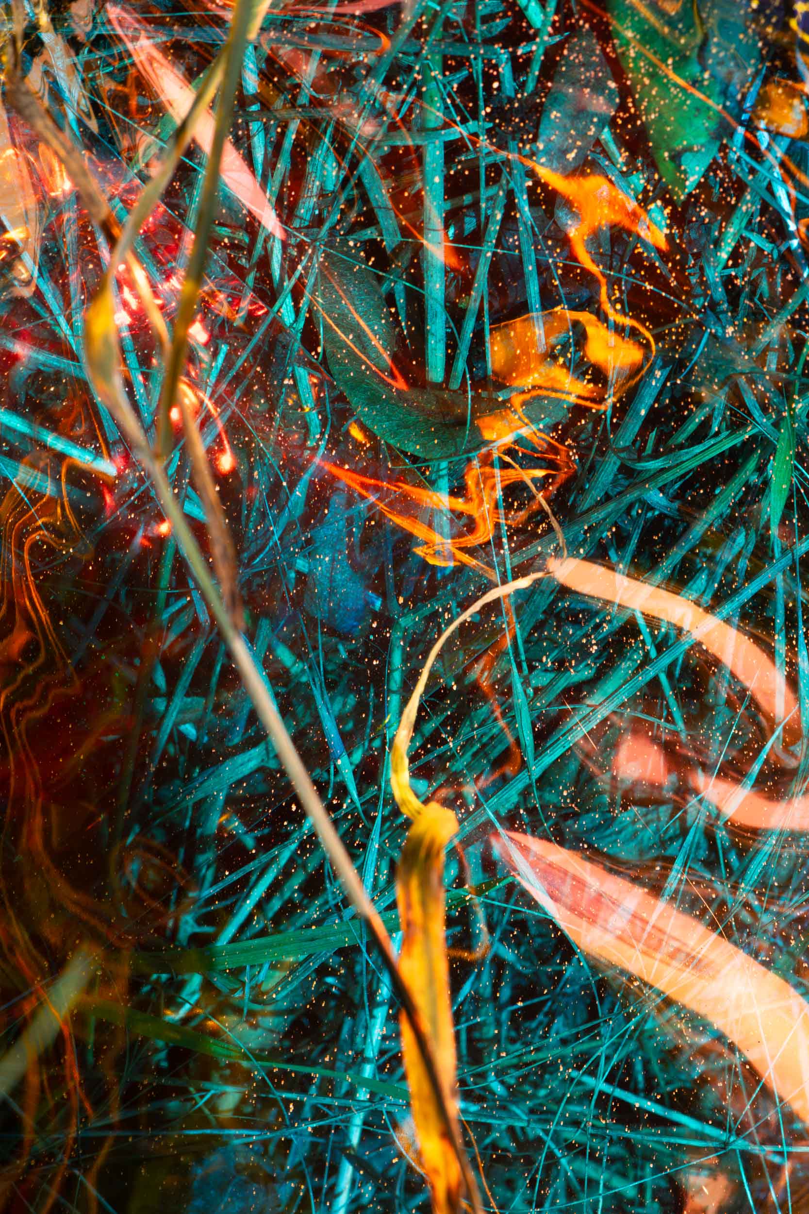 Dorado, 2024, Chromaluxe print (dye-sublimation print on aluminium) 138 x 92 cm, Edition of 3 + 1AP