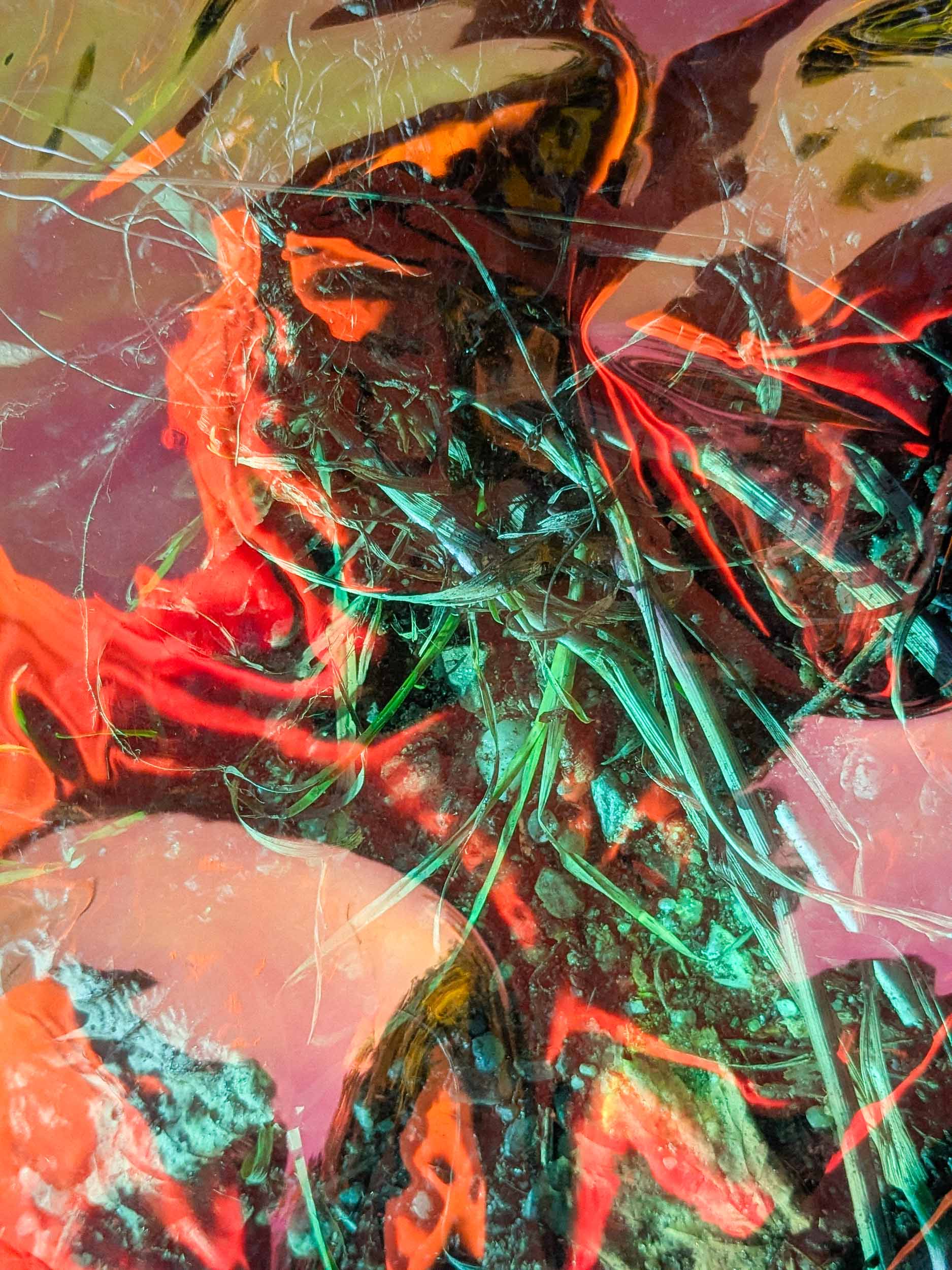 Gewissenhafte Kleinmalerei eines atemberaubenden Naturvorganges / Meticulous Depiction of a Breathtaking Natural Phenomenon, 2025, Chromalux print (dye-sublimation print on aluminium), 60 x 45 cm, Edition of 4 + 1AP