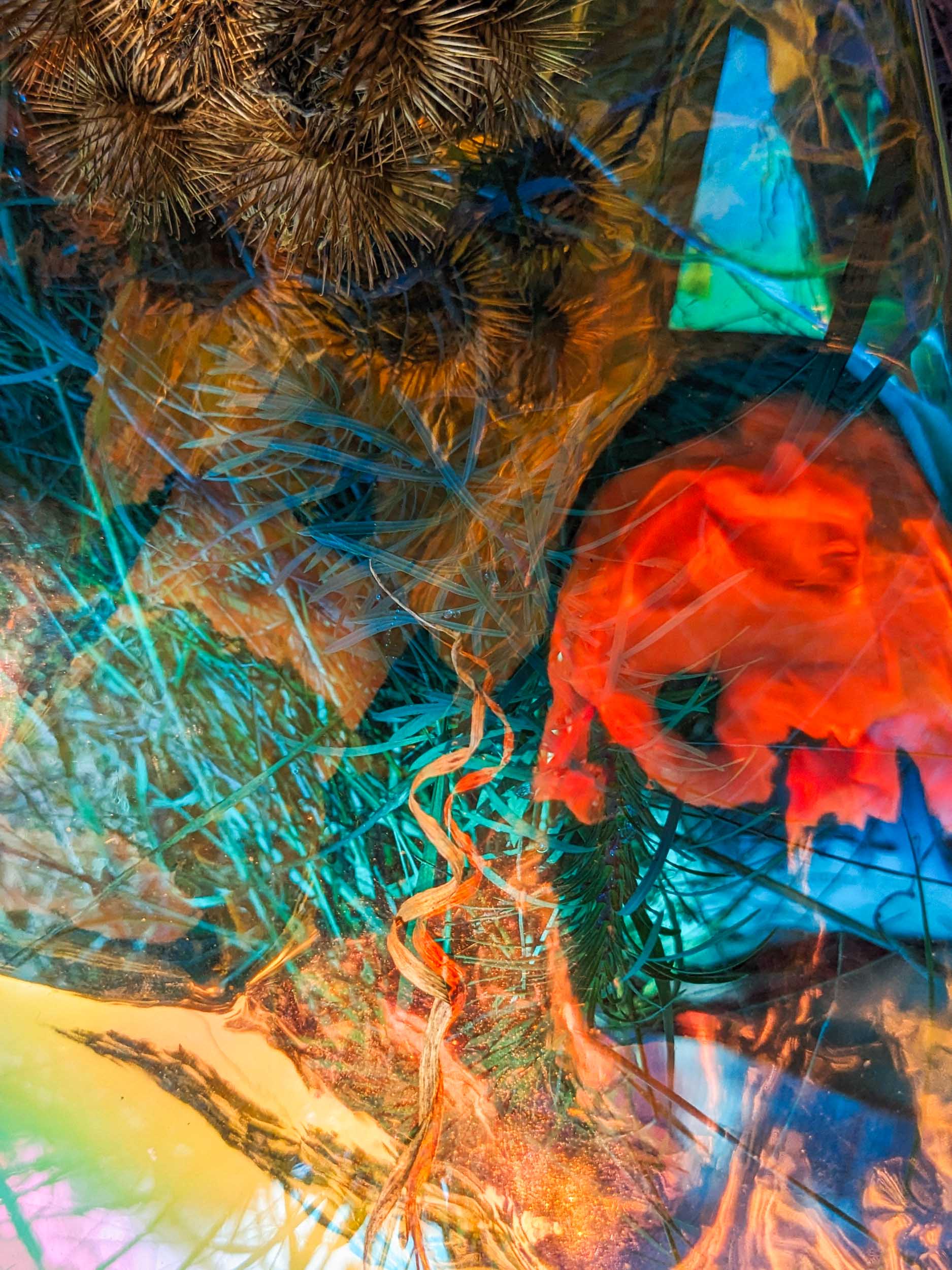 Sich fernhin zu verlieren in der ambrosischen Nacht / Losing Oneself in the Ambrosial Night, 2025, Chromalux print (dye-sublimation print on aluminium), 60 x 45 cm, Edition of 4 + 1AP
